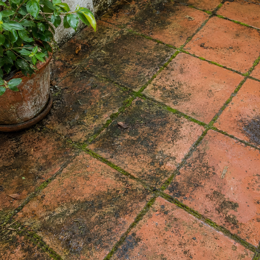 Antes - patio