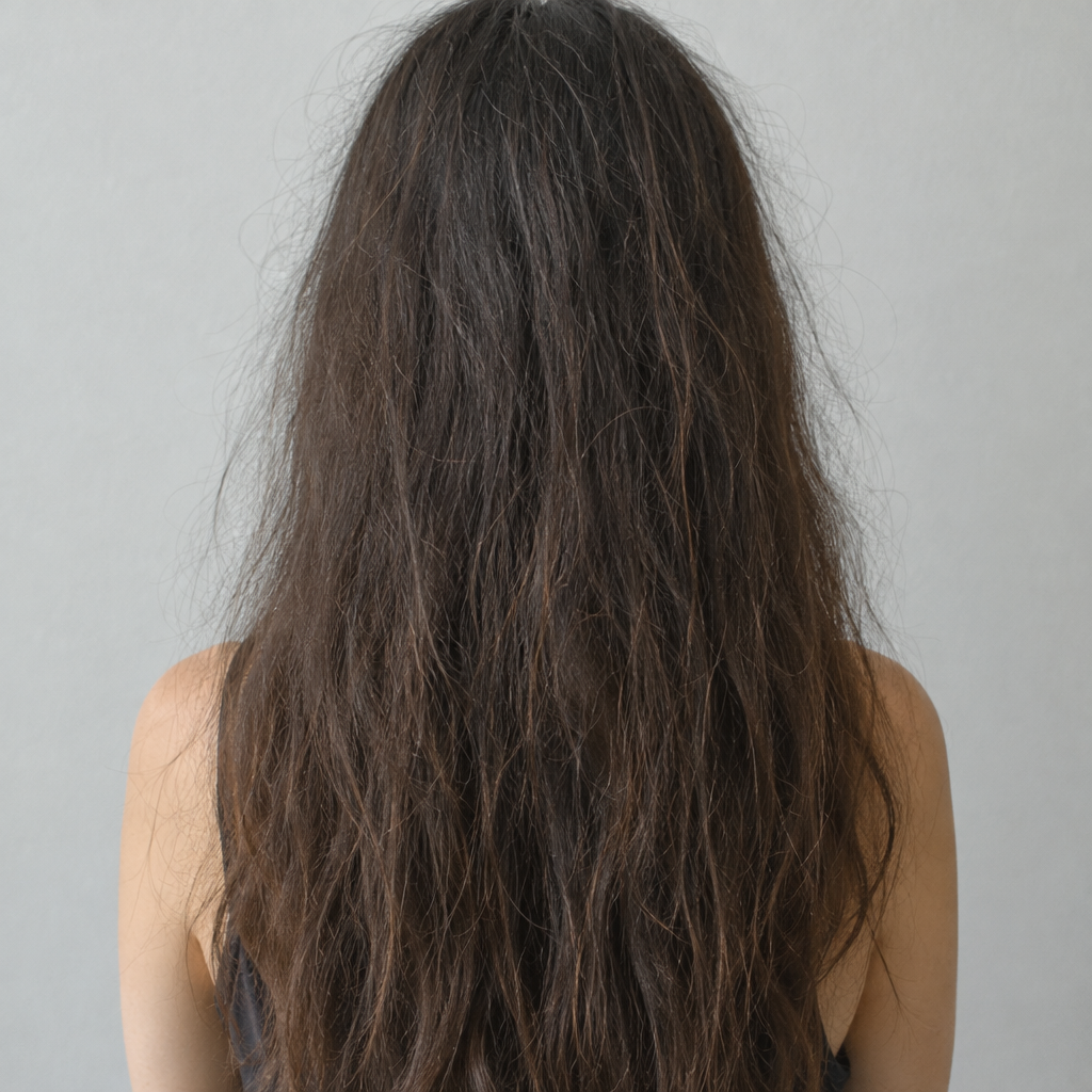 Antes: cabello reseco y con frizz